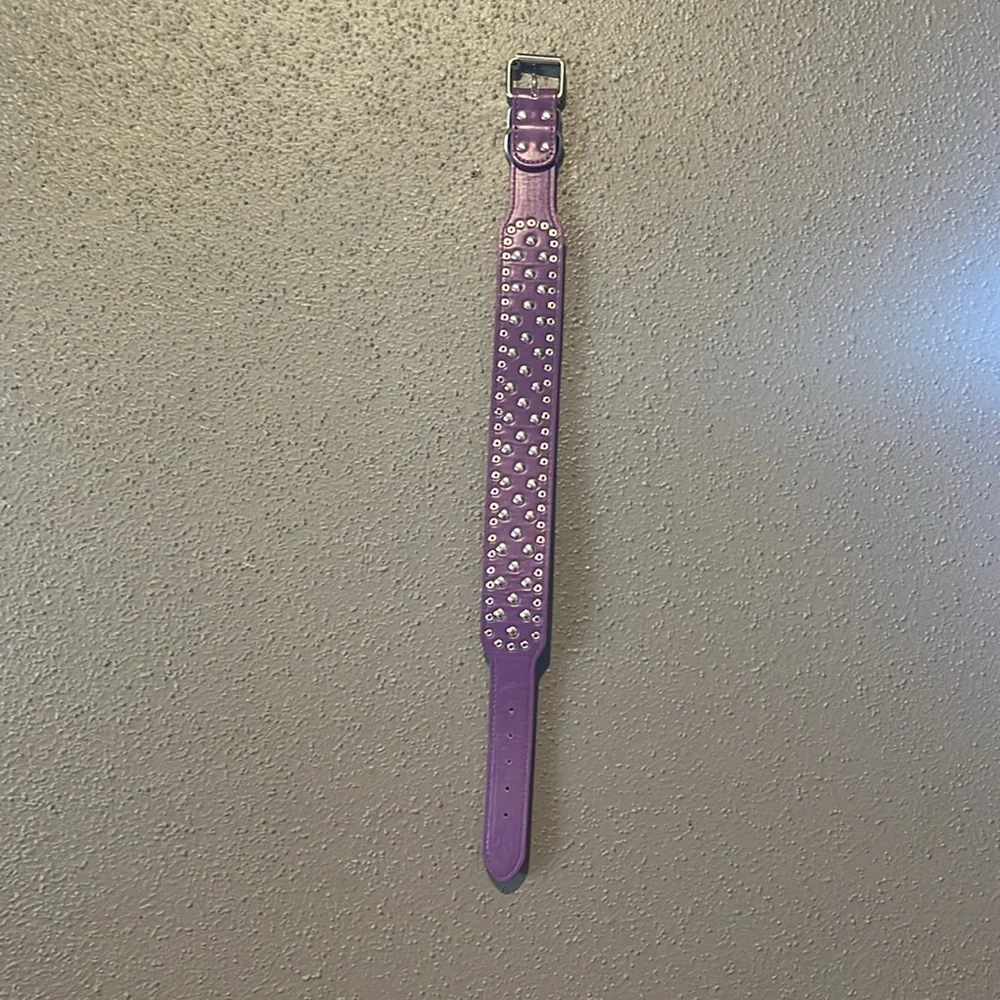 Dogs Purple Spiked Studded Dog Collar